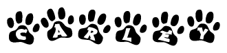 The image shows a series of animal paw prints arranged in a horizontal line. Each paw print contains a letter, and together they spell out the word Carley.