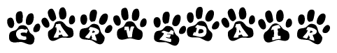 The image shows a series of animal paw prints arranged in a horizontal line. Each paw print contains a letter, and together they spell out the word Carvedair.