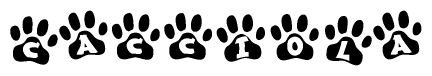 The image shows a row of animal paw prints, each containing a letter. The letters spell out the word Cacciola within the paw prints.