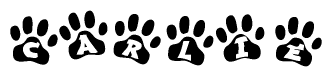 The image shows a row of animal paw prints, each containing a letter. The letters spell out the word Carlie within the paw prints.