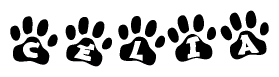 The image shows a series of animal paw prints arranged in a horizontal line. Each paw print contains a letter, and together they spell out the word Celia.