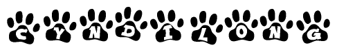 The image shows a series of animal paw prints arranged in a horizontal line. Each paw print contains a letter, and together they spell out the word Cyndilong.