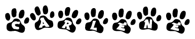 The image shows a row of animal paw prints, each containing a letter. The letters spell out the word Carlene within the paw prints.