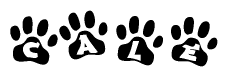 The image shows a series of animal paw prints arranged in a horizontal line. Each paw print contains a letter, and together they spell out the word Cale.