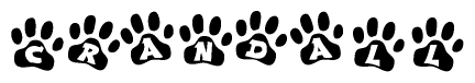 The image shows a row of animal paw prints, each containing a letter. The letters spell out the word Crandall within the paw prints.