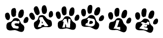 The image shows a series of animal paw prints arranged in a horizontal line. Each paw print contains a letter, and together they spell out the word Candle.