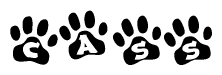 The image shows a series of animal paw prints arranged in a horizontal line. Each paw print contains a letter, and together they spell out the word Cass.