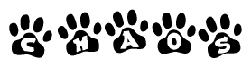 The image shows a row of animal paw prints, each containing a letter. The letters spell out the word Chaos within the paw prints.