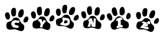 The image shows a series of animal paw prints arranged in a horizontal line. Each paw print contains a letter, and together they spell out the word Cydnie.