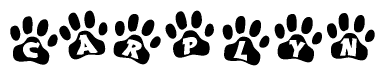 The image shows a row of animal paw prints, each containing a letter. The letters spell out the word Carplyn within the paw prints.