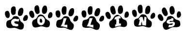 The image shows a series of animal paw prints arranged in a horizontal line. Each paw print contains a letter, and together they spell out the word Collins.