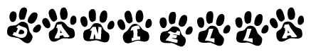 The image shows a series of animal paw prints arranged in a horizontal line. Each paw print contains a letter, and together they spell out the word Daniella.
