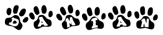 The image shows a row of animal paw prints, each containing a letter. The letters spell out the word Damian within the paw prints.