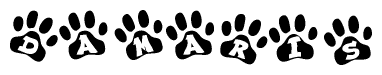 The image shows a series of animal paw prints arranged in a horizontal line. Each paw print contains a letter, and together they spell out the word Damaris.
