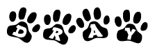 The image shows a series of animal paw prints arranged in a horizontal line. Each paw print contains a letter, and together they spell out the word Dray.