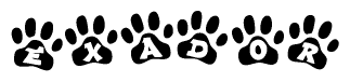 The image shows a row of animal paw prints, each containing a letter. The letters spell out the word Exador within the paw prints.