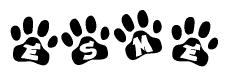 The image shows a row of animal paw prints, each containing a letter. The letters spell out the word Esme within the paw prints.