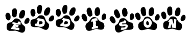 The image shows a series of animal paw prints arranged in a horizontal line. Each paw print contains a letter, and together they spell out the word Eddison.