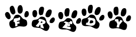 The image shows a series of animal paw prints arranged in a horizontal line. Each paw print contains a letter, and together they spell out the word Fredy.