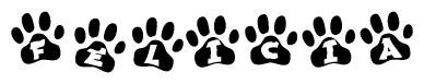 The image shows a row of animal paw prints, each containing a letter. The letters spell out the word Felicia within the paw prints.