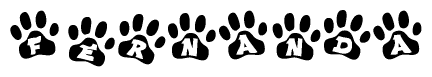The image shows a series of animal paw prints arranged in a horizontal line. Each paw print contains a letter, and together they spell out the word Fernanda.