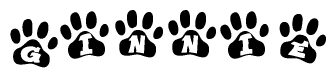 The image shows a series of animal paw prints arranged in a horizontal line. Each paw print contains a letter, and together they spell out the word Ginnie.
