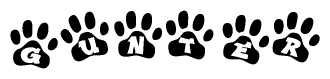 The image shows a row of animal paw prints, each containing a letter. The letters spell out the word Gunter within the paw prints.
