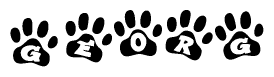 The image shows a series of animal paw prints arranged in a horizontal line. Each paw print contains a letter, and together they spell out the word Georg.