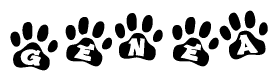 The image shows a series of animal paw prints arranged in a horizontal line. Each paw print contains a letter, and together they spell out the word Genea.