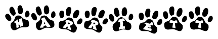 The image shows a row of animal paw prints, each containing a letter. The letters spell out the word Harriett within the paw prints.