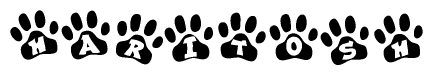 The image shows a series of animal paw prints arranged horizontally. Within each paw print, there's a letter; together they spell Haritosh