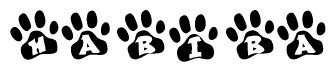 The image shows a series of animal paw prints arranged in a horizontal line. Each paw print contains a letter, and together they spell out the word Habiba.