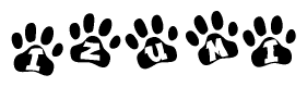 The image shows a series of animal paw prints arranged horizontally. Within each paw print, there's a letter; together they spell Izumi