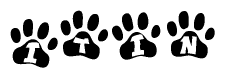 The image shows a series of animal paw prints arranged in a horizontal line. Each paw print contains a letter, and together they spell out the word Itin.