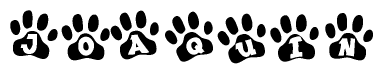 The image shows a series of animal paw prints arranged horizontally. Within each paw print, there's a letter; together they spell Joaquin