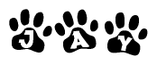 The image shows a series of animal paw prints arranged horizontally. Within each paw print, there's a letter; together they spell Jay