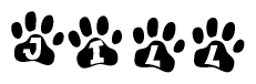 The image shows a series of animal paw prints arranged horizontally. Within each paw print, there's a letter; together they spell Jill