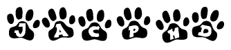 The image shows a row of animal paw prints, each containing a letter. The letters spell out the word Jacphd within the paw prints.