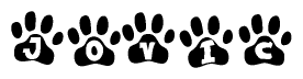 The image shows a series of animal paw prints arranged in a horizontal line. Each paw print contains a letter, and together they spell out the word Jovic.
