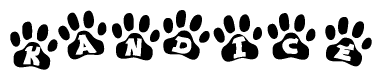 The image shows a row of animal paw prints, each containing a letter. The letters spell out the word Kandice within the paw prints.