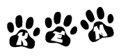 The image shows a series of animal paw prints arranged in a horizontal line. Each paw print contains a letter, and together they spell out the word Kem.