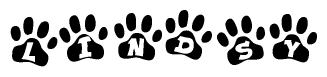 The image shows a series of animal paw prints arranged in a horizontal line. Each paw print contains a letter, and together they spell out the word Lindsy.
