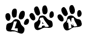 The image shows a series of animal paw prints arranged horizontally. Within each paw print, there's a letter; together they spell Lam