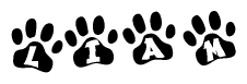 The image shows a row of animal paw prints, each containing a letter. The letters spell out the word Liam within the paw prints.