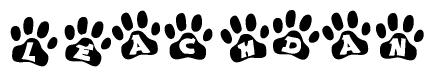 The image shows a series of animal paw prints arranged in a horizontal line. Each paw print contains a letter, and together they spell out the word Leachdan.