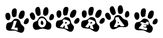 The image shows a series of animal paw prints arranged in a horizontal line. Each paw print contains a letter, and together they spell out the word Lorrae.