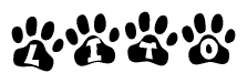 The image shows a series of animal paw prints arranged in a horizontal line. Each paw print contains a letter, and together they spell out the word Lito.