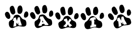 The image shows a series of animal paw prints arranged horizontally. Within each paw print, there's a letter; together they spell Maxim
