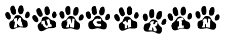 The image shows a row of animal paw prints, each containing a letter. The letters spell out the word Munchkin within the paw prints.