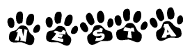 The image shows a series of animal paw prints arranged in a horizontal line. Each paw print contains a letter, and together they spell out the word Nesta.
